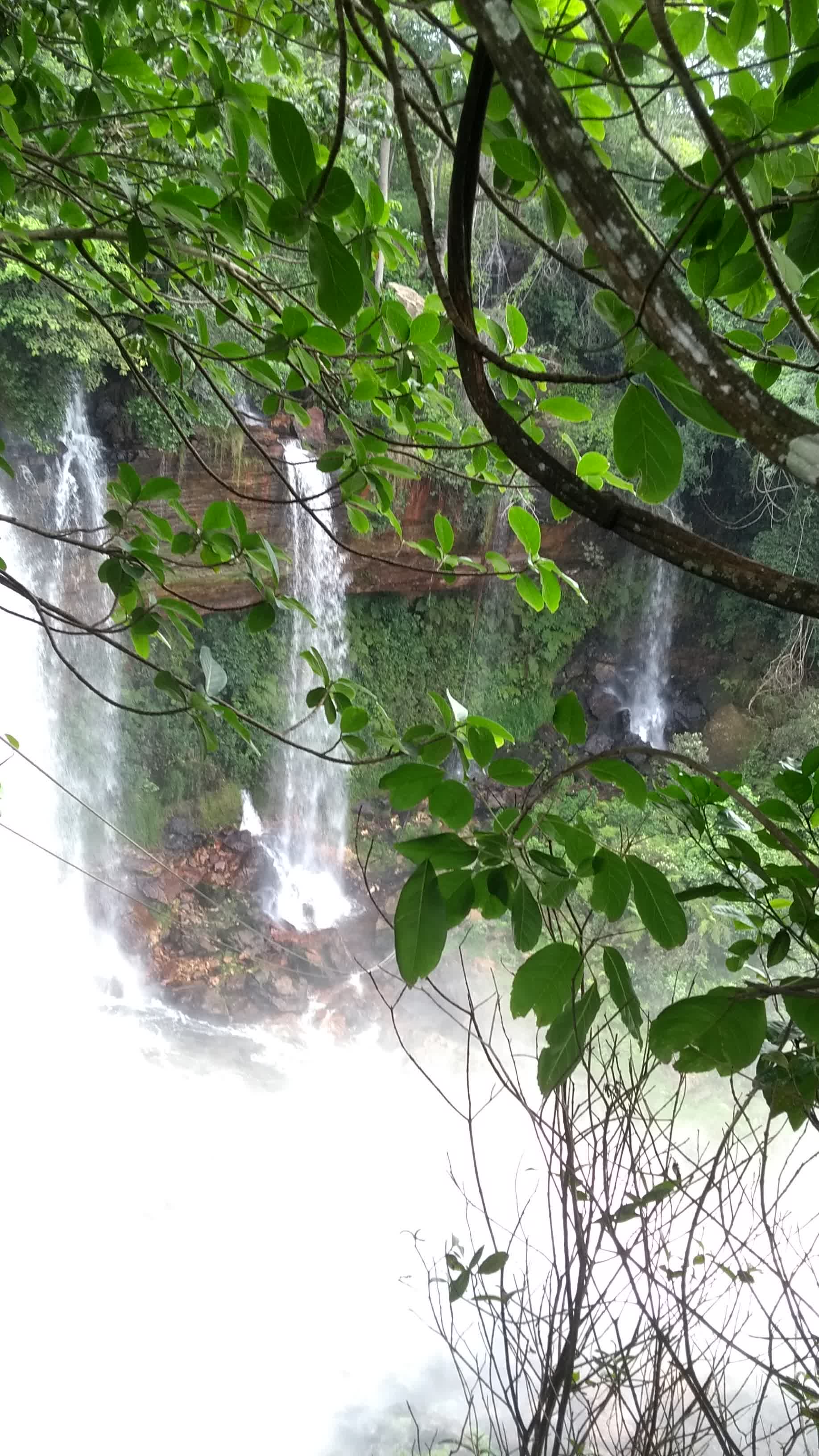 Cachoeira do Acaba Vidas (16) Cachoeira do Acaba Vidas (16)