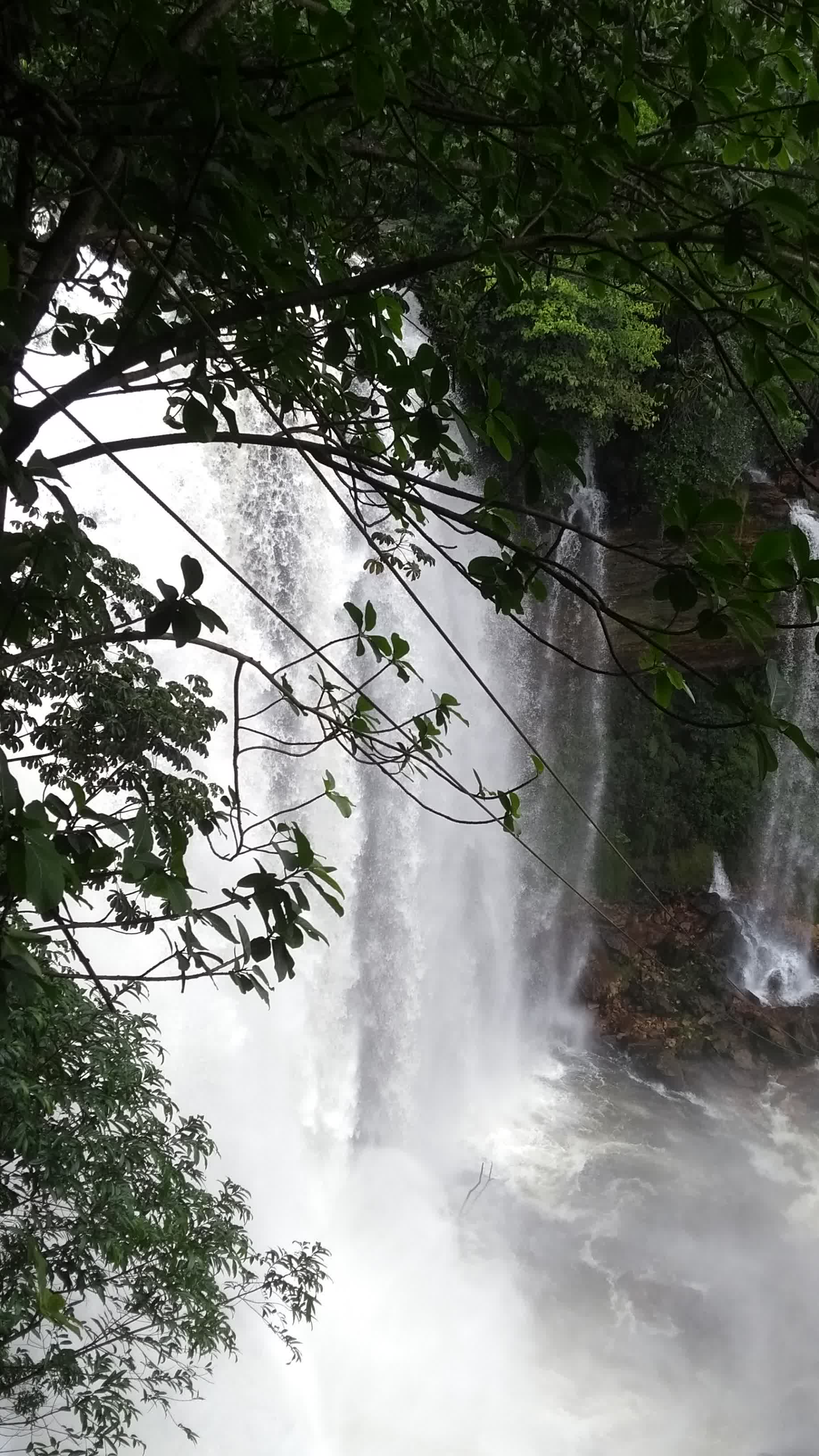 Cachoeira do Acaba Vidas (17) Cachoeira do Acaba Vidas (17)