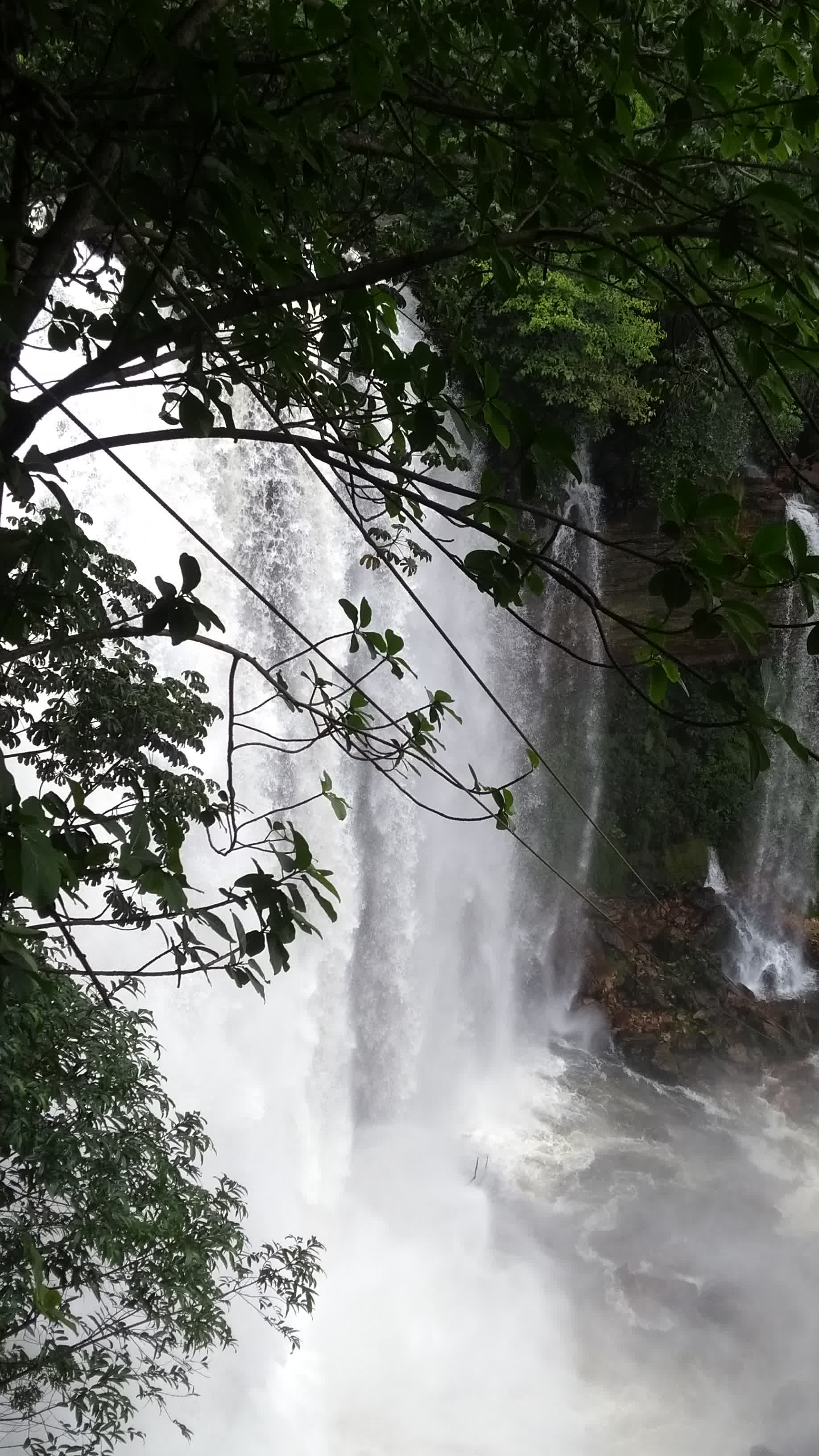 Cachoeira do Acaba Vidas (18) Cachoeira do Acaba Vidas (18)