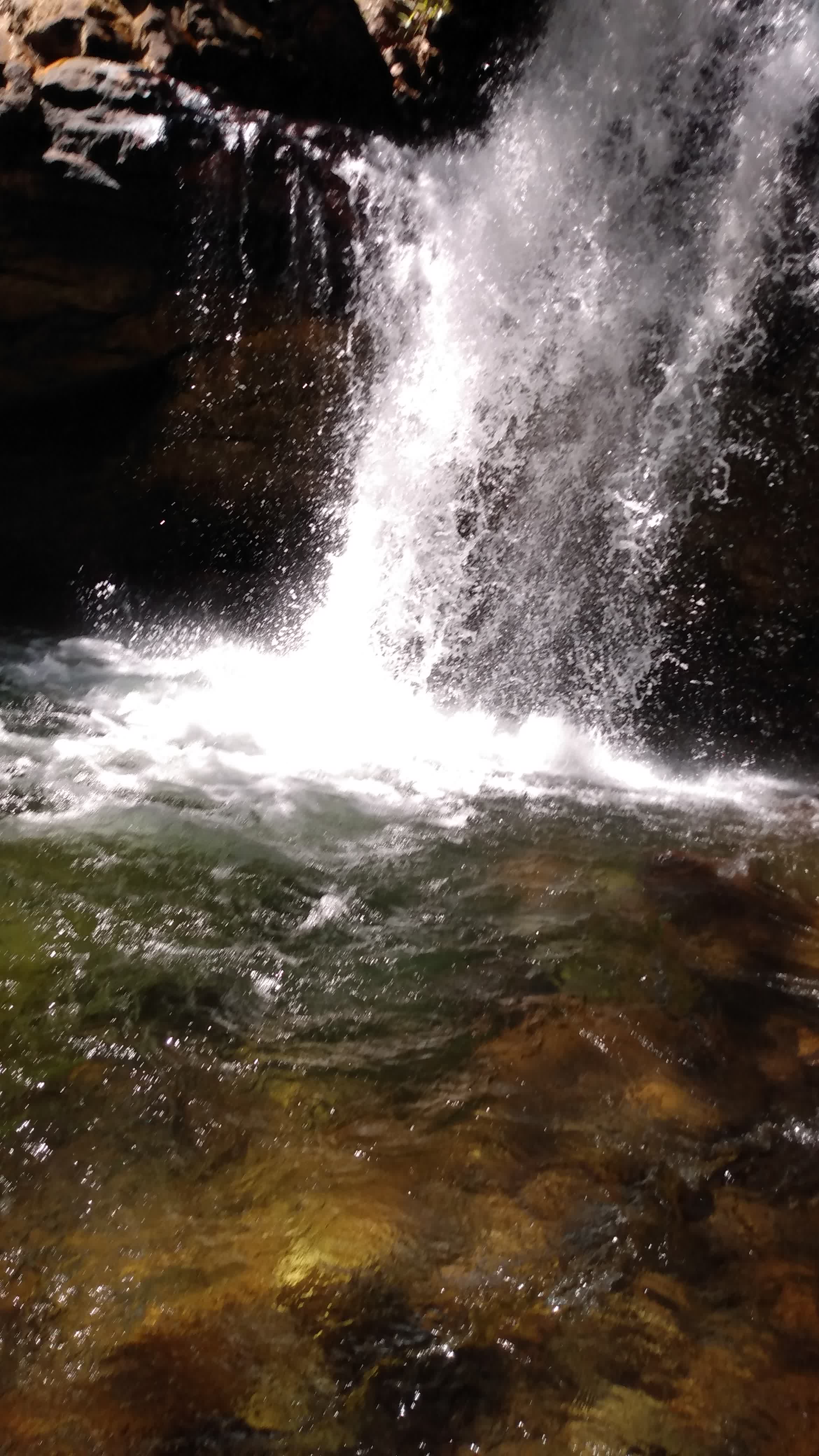 Cachoeira do Ouro (41) Cachoeira do Ouro (41)